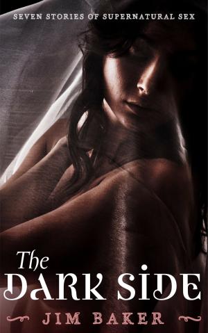 Cover of the book The Dark Side by Alexis Price