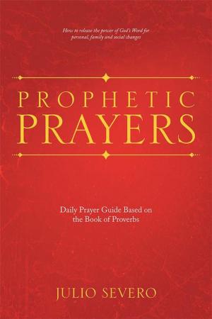 Cover of the book Prophetic Prayers by Jan Whitmore