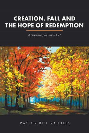 Cover of the book Creation, Fall and the Hope of Redemption by John Nolan
