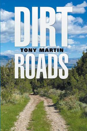 Cover of the book Dirt Roads by Tiffanny Cato
