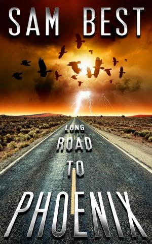 Cover of the book Long Road To Phoenix by Elle Rush