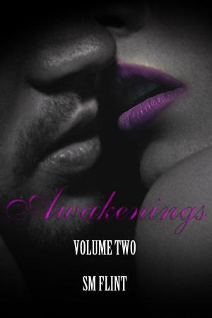 Cover of the book Awakenings Volume 2 by Simone Beatrix