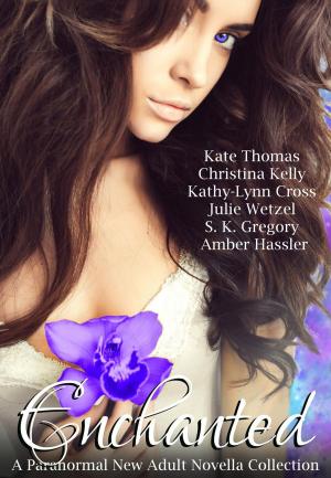 Cover of the book Enchanted (A Paranormal New Adult Novella Collection) by Liza Probz