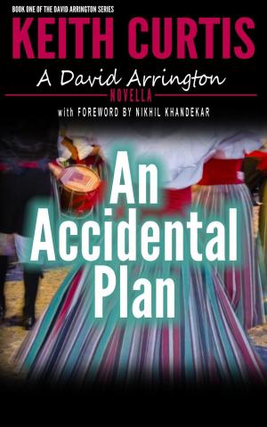 bigCover of the book An Accidental Plan by 