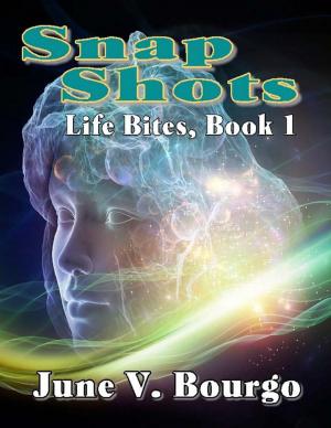 Cover of the book Snap Shots by François Jobin