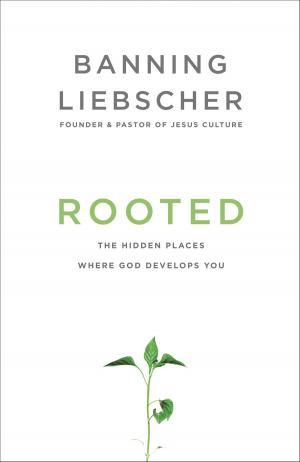 Cover of the book Rooted by Basil Pennington