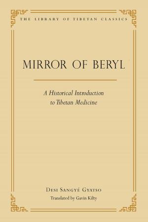 Cover of the book The Mirror of Beryl by Peter Linenthal