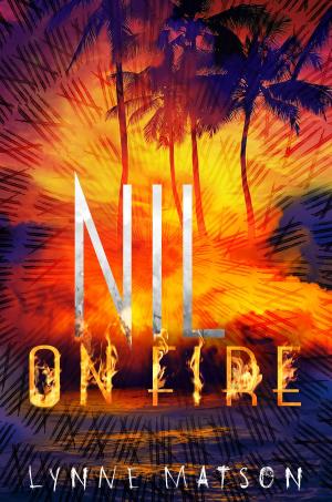 Cover of the book Nil on Fire by Karen Beaumont