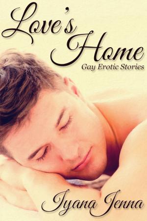 Cover of the book Love's Home Box Set by Jane Porter