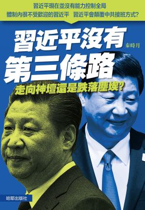 Cover of the book 《習近平沒有第三條路》 by Bertice Berry