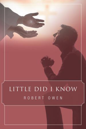 Cover of the book Little Did I Know by Ann P. Carter