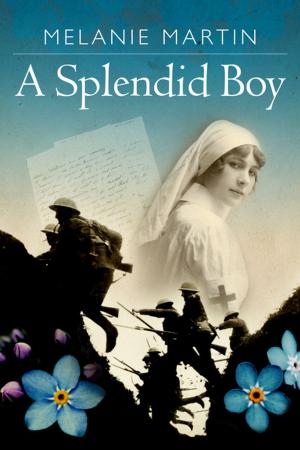 Cover of the book A Splendid Boy by Anne Galway