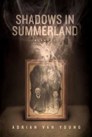 Book cover of Shadows in Summerland