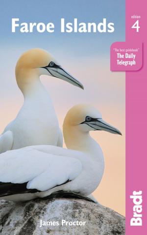 Cover of the book Faroe Islands by Diana Darke