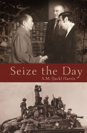Cover of the book Seize the Day by Mal Walden