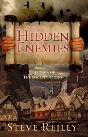 Cover of the book Hidden Enemies by Michael Mulvihill