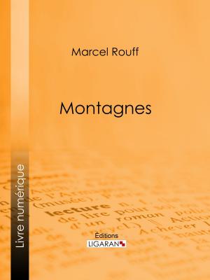 Cover of the book Montagnes by Élie Reclus, Ligaran