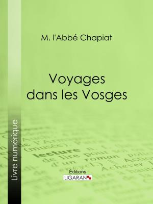 Cover of the book Voyages dans les Vosges by Jean-Claude Fartoukh