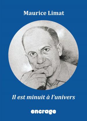 Book cover of Il est minuit à l'univers