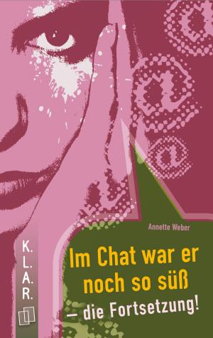 Cover of the book Im Chat war er noch so süß - die Fortsetzung! by Annette Weber