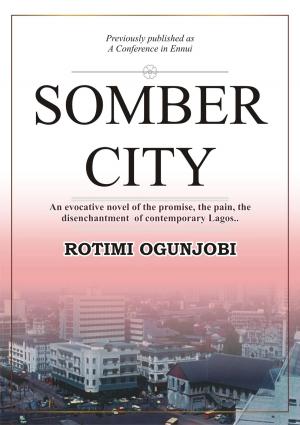 bigCover of the book Somber City by 