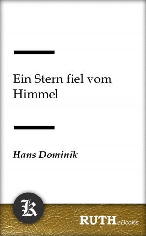 Cover of the book Ein Stern fiel vom Himmel by Mark Twain