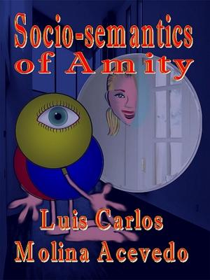 Cover of the book Socio-semantics of Amity by Marlis Sebaltis