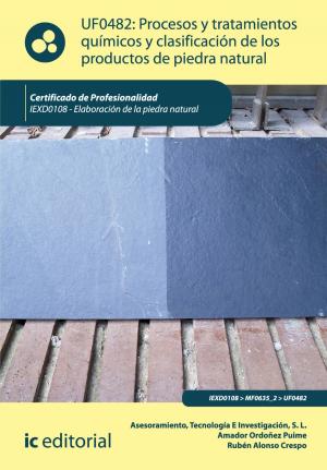 Cover of the book Procesos y tratamientos químicos y clasificación de los productos de piedra natural by Juan José Trujillo Cebrián