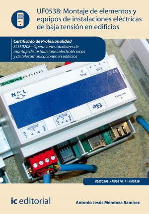 Cover of the book Montaje de elementos y equipos de instalaciones eléctricas de baja tensión en edificios by Miguel Ángel Fernández Díaz