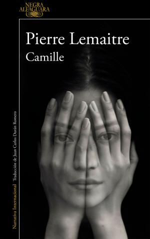 Cover of the book Camille (Un caso del comandante Camille Verhoeven 4) by Alan Flurry