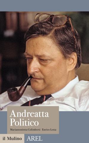 Cover of the book Andreatta politico by Domenico, Amirante