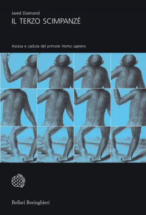 Cover of the book Il terzo scimpanzé by Tim Spector