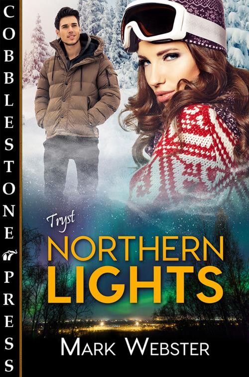 Cover of the book Northern Lights by Mark Webster, Cobblestone Press