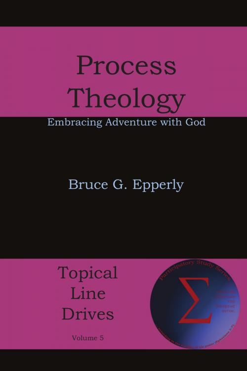 Cover of the book Process Theology by Bruce G. Epperly, Energion Publications