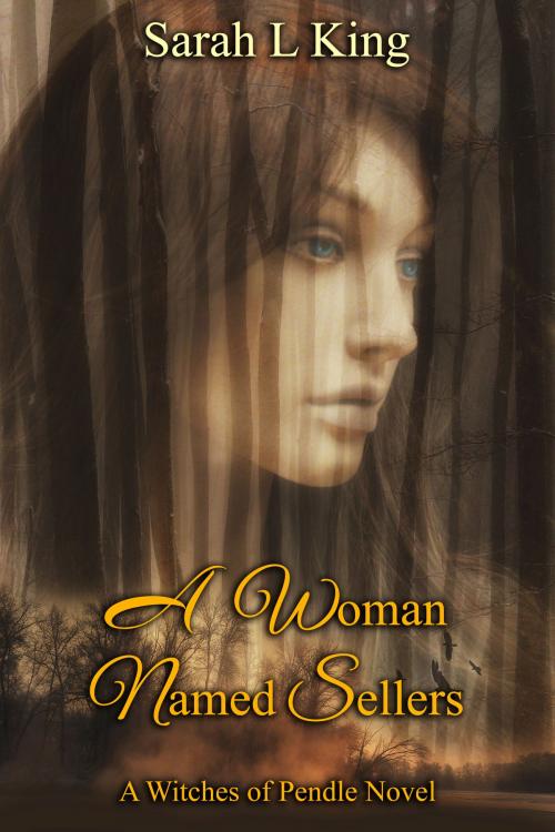 Cover of the book A Woman Named Sellers by Sarah L King, Ethersay Publishing