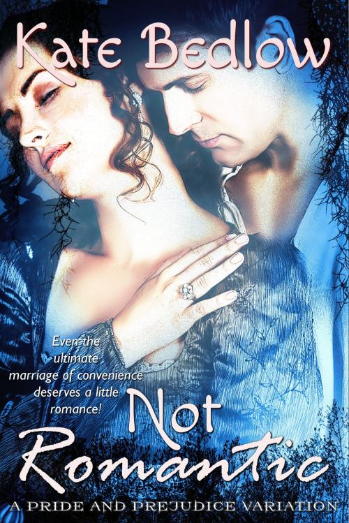 Cover of the book Not Romantic: A Pride and Prejudice Variation by Kate Bedlow, Beastie Press