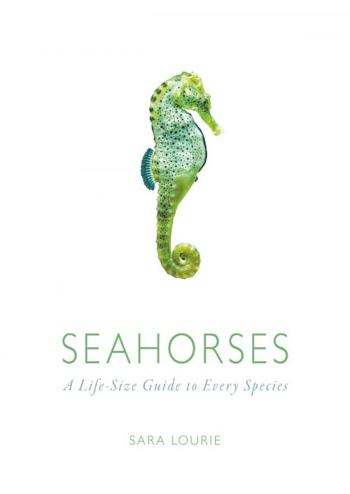 Cover of the book Seahorses by Sara A. Lourie, University of Chicago Press