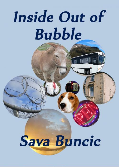 Cover of the book Inside Out of Bubble by Sava Buncic, ABSeeS