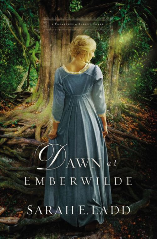 Cover of the book Dawn at Emberwilde by Sarah E. Ladd, Thomas Nelson