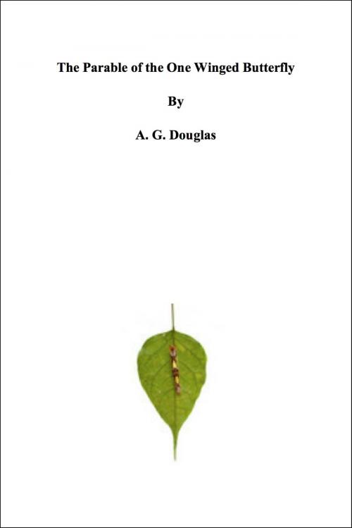 Cover of the book The Parable of the One Winged Butterfly by A.G Douglas, A.G Douglas
