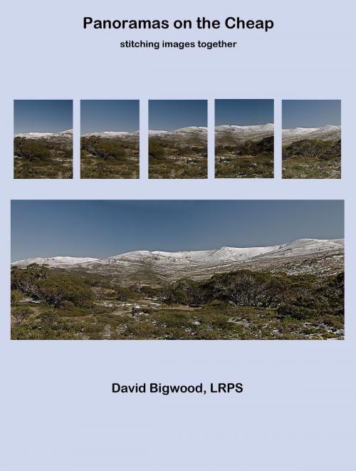 Cover of the book Panoramas on the Cheap by David Bigwood, David Bigwood