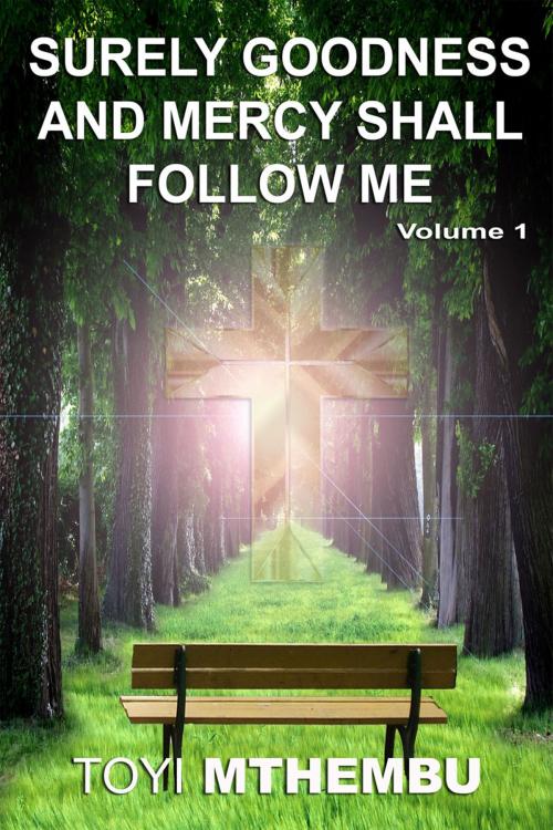 Cover of the book Surely Goodness And Mercy Shall Follow Me by Toyi Mthembu, Toyi Mthembu