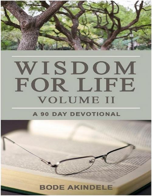 Cover of the book Wisdom for Life Vol. 2 by Bode Akindele, Lulu.com