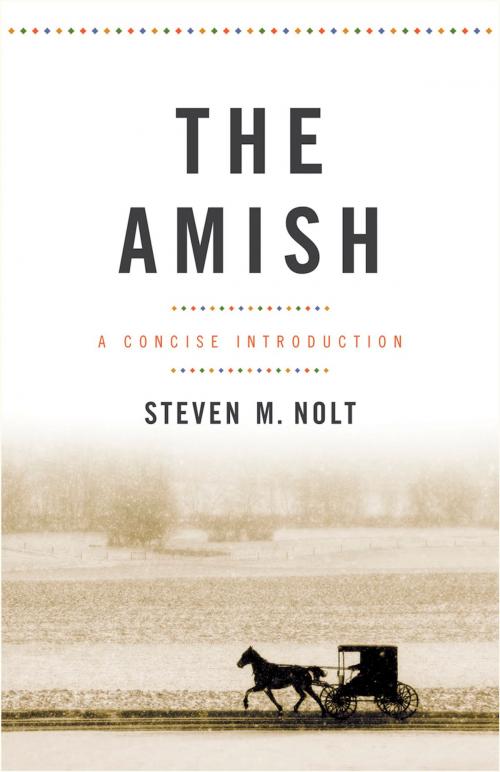 Cover of the book The Amish by Steven M. Nolt, Johns Hopkins University Press