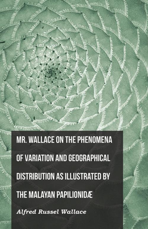 Cover of the book Mr. Wallace on the Phenomena of Variation and Geographical Distribution as Illustrated by the Malayan PapilionidÃ¦ by Alfred Russel Wallace, Read Books Ltd.