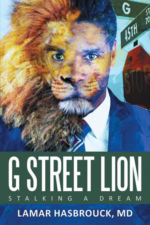 Cover of the book G Street Lion by LaMar Hasbrouck, iUniverse