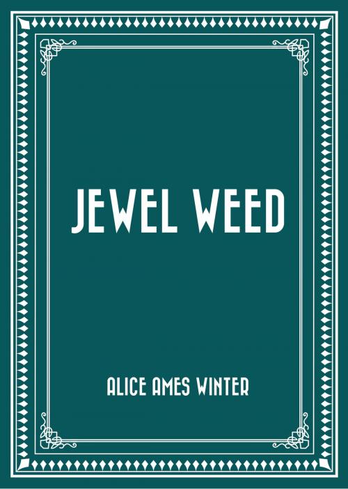 Cover of the book Jewel Weed by Alice Ames Winter, Krill Press