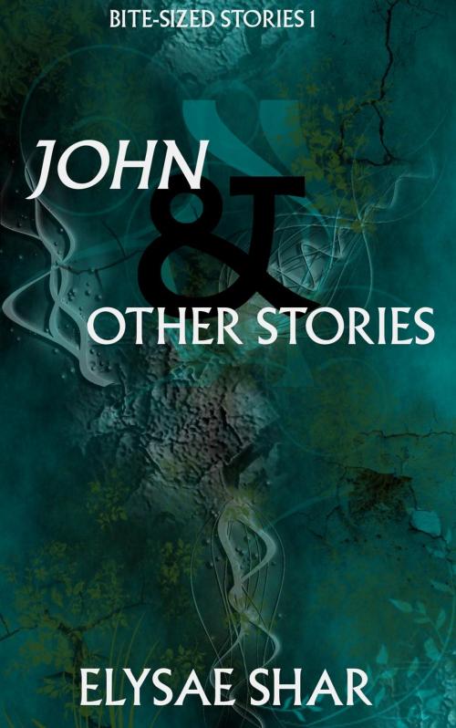 Cover of the book John & Other Stories by Elysae Shar, Elysae Shar