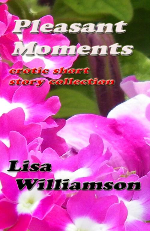 Cover of the book Pleasant Moments by Lisa Williamson, Lisa  Williamson