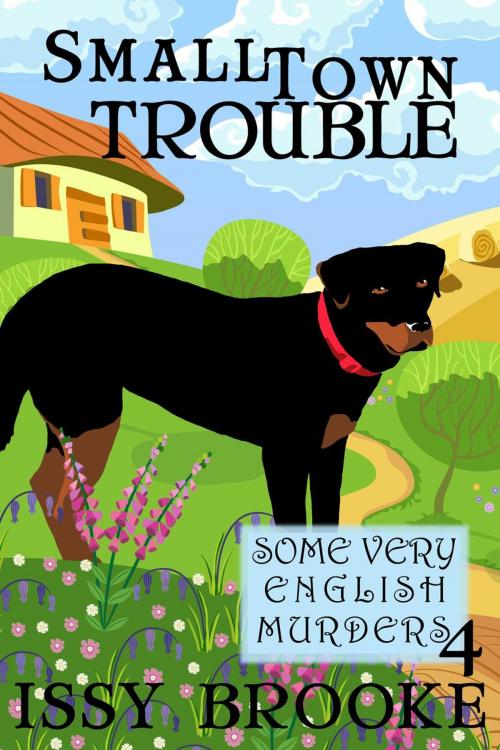 Cover of the book Small Town Trouble by Issy Brooke, Issy Brooke